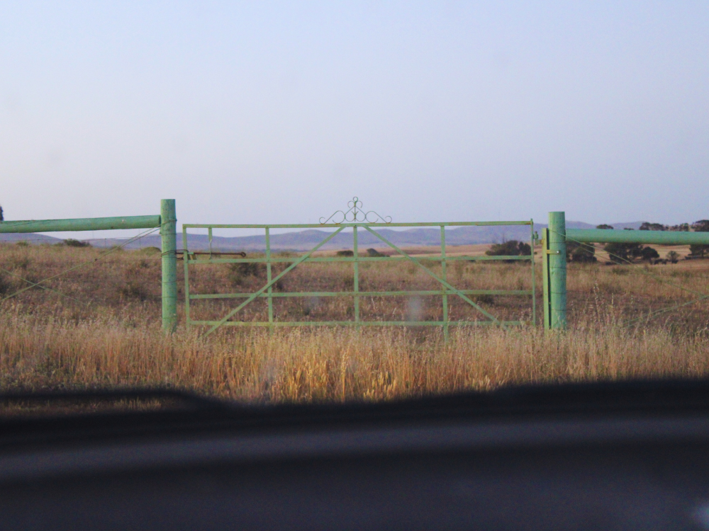 Green gate in country paddock