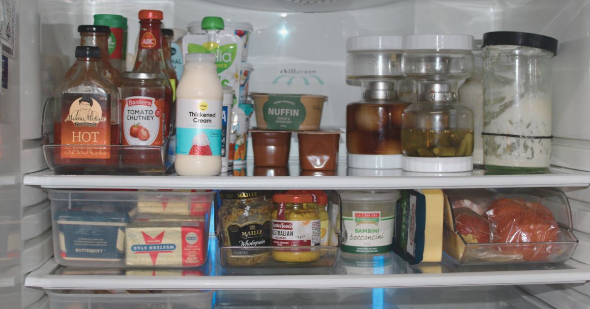 Contents of refrigerator on shelves